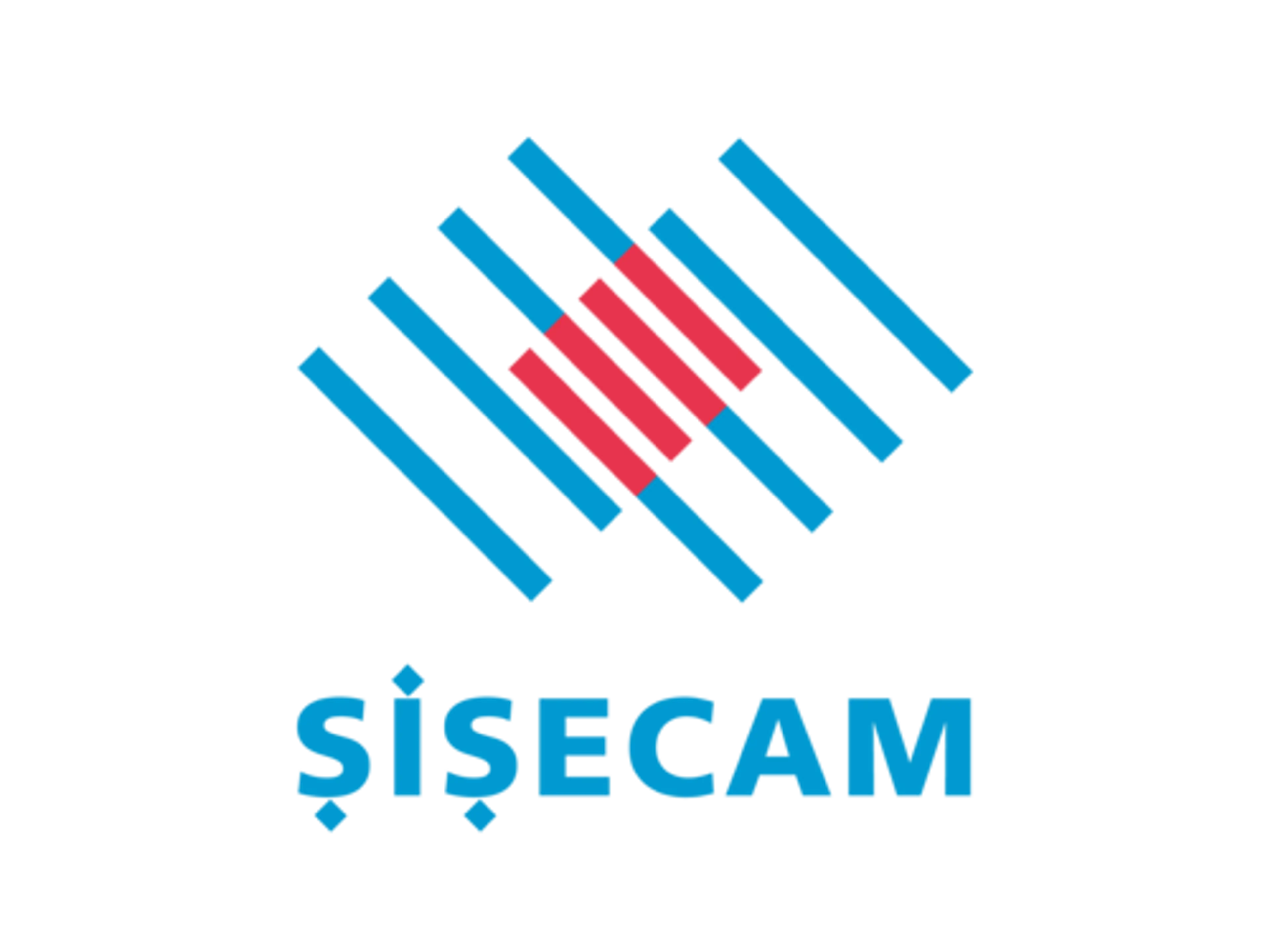 Şişecam logo