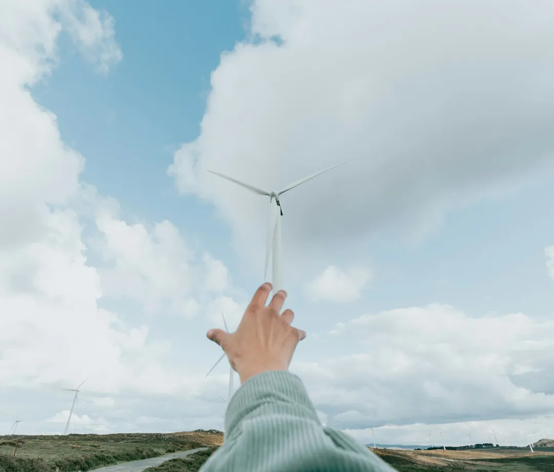 Karbon Sertifikaları